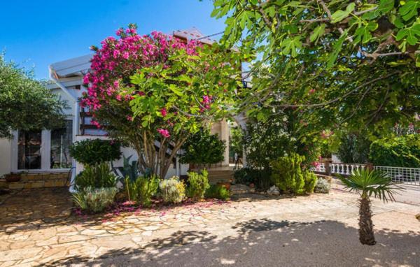 Apartment "Marija" - Otok ויר מראה חיצוני תמונה